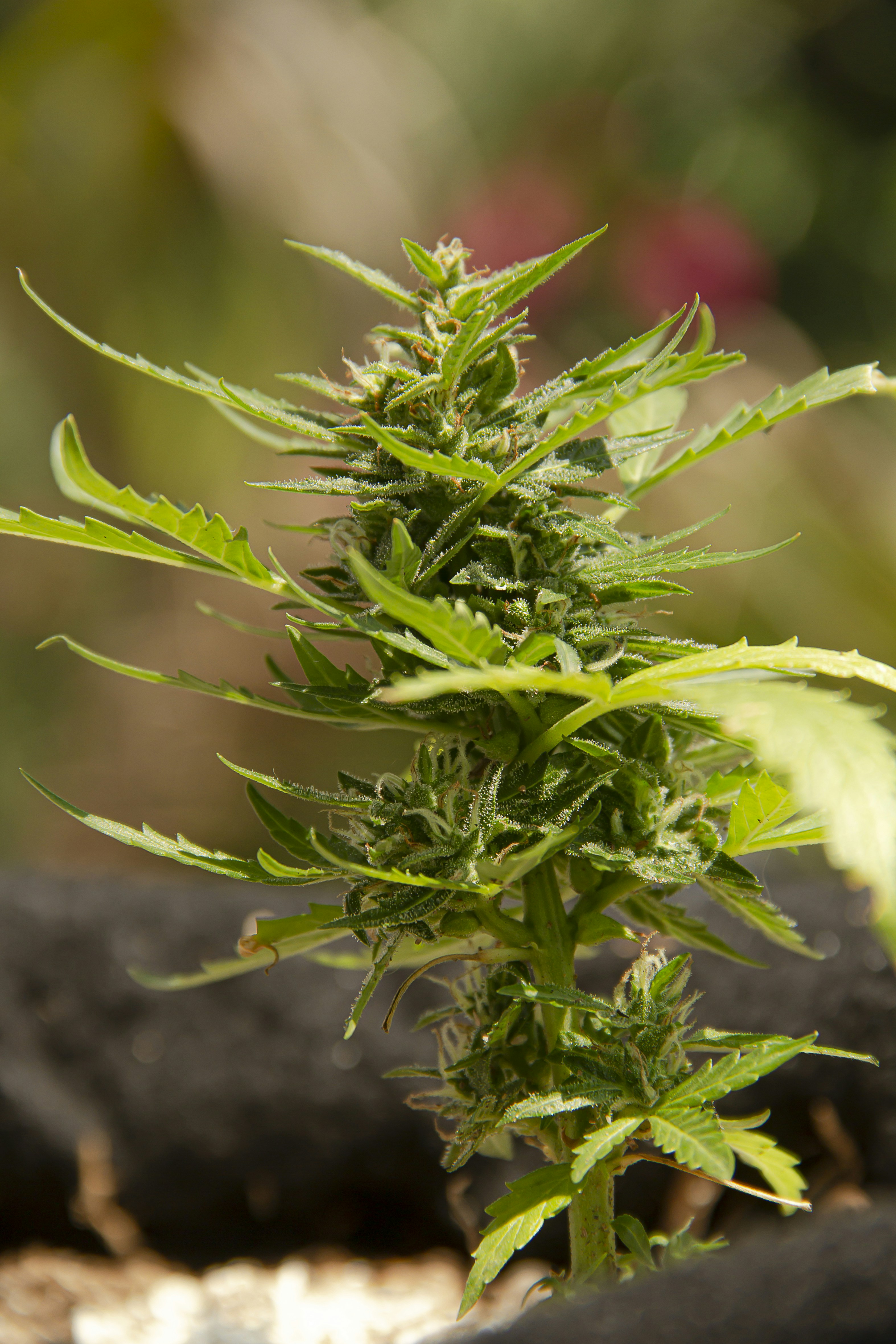 Photo by andresloquesea