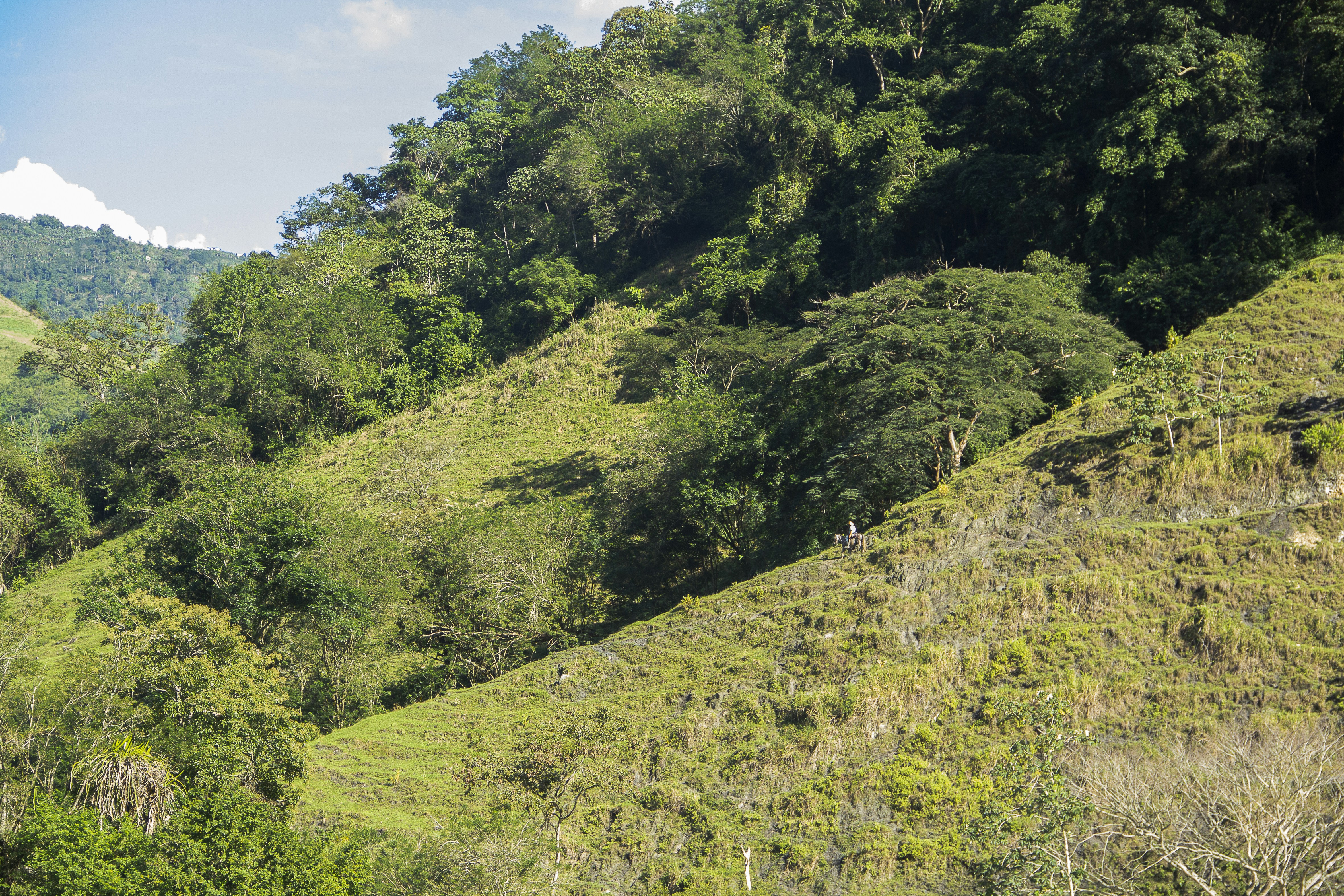 Photo by andresloquesea