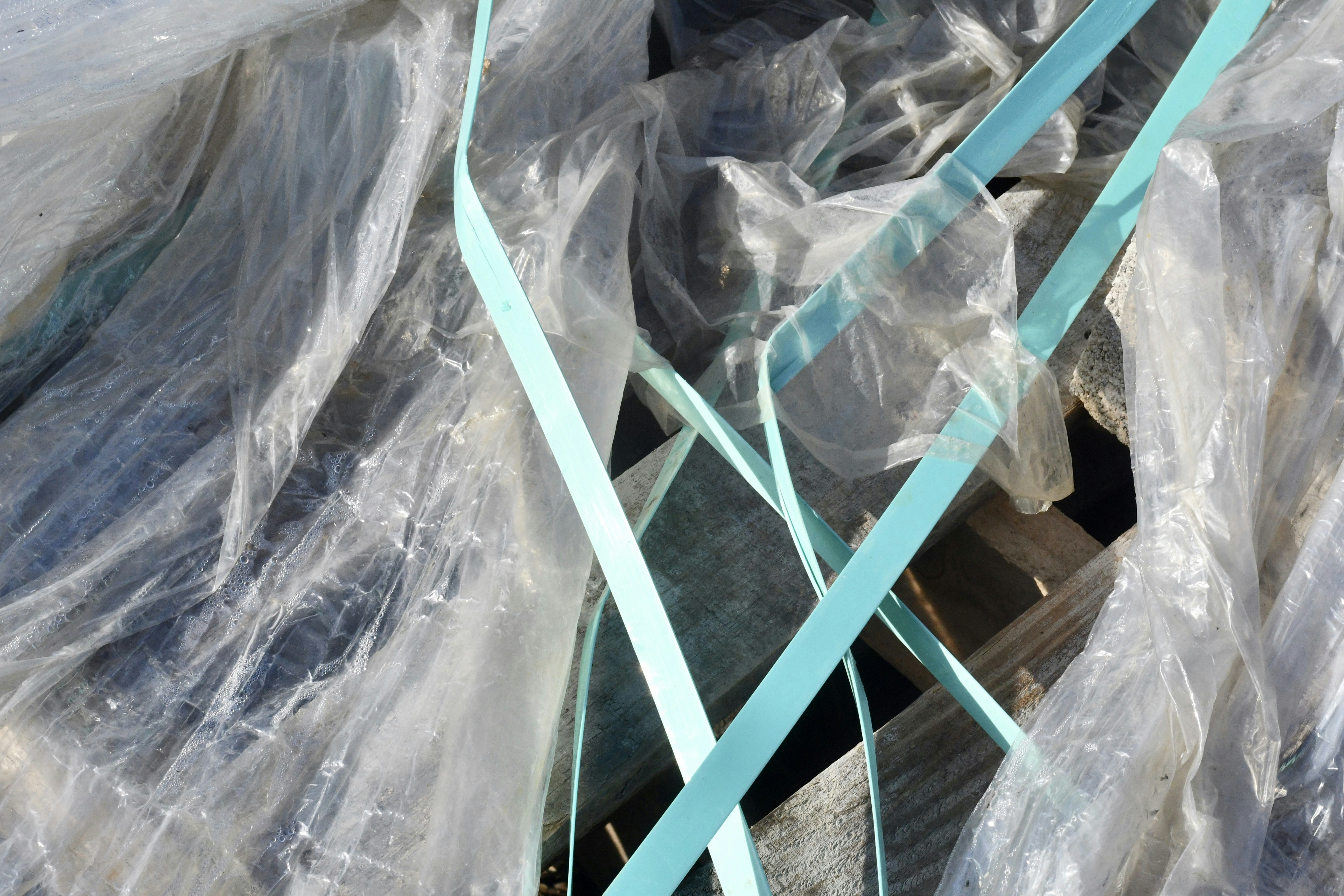green strap on clear plastic pack