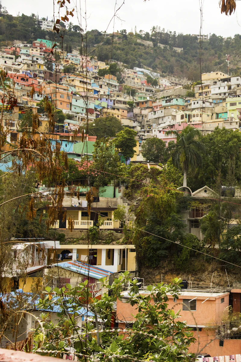 Paysage d'Haïti