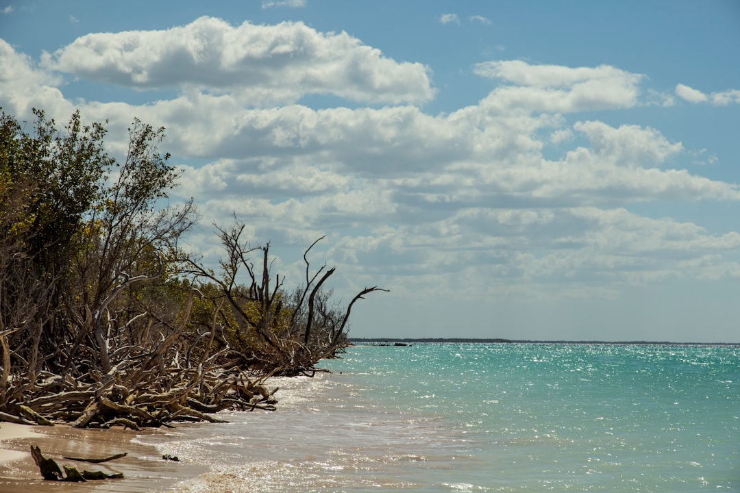 Beach photo spot Cayo JutÃ­as Cuba