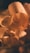 Close-up view of wood shavings with a soft, warm lighting that emphasizes the texture and curls of the wood pieces.