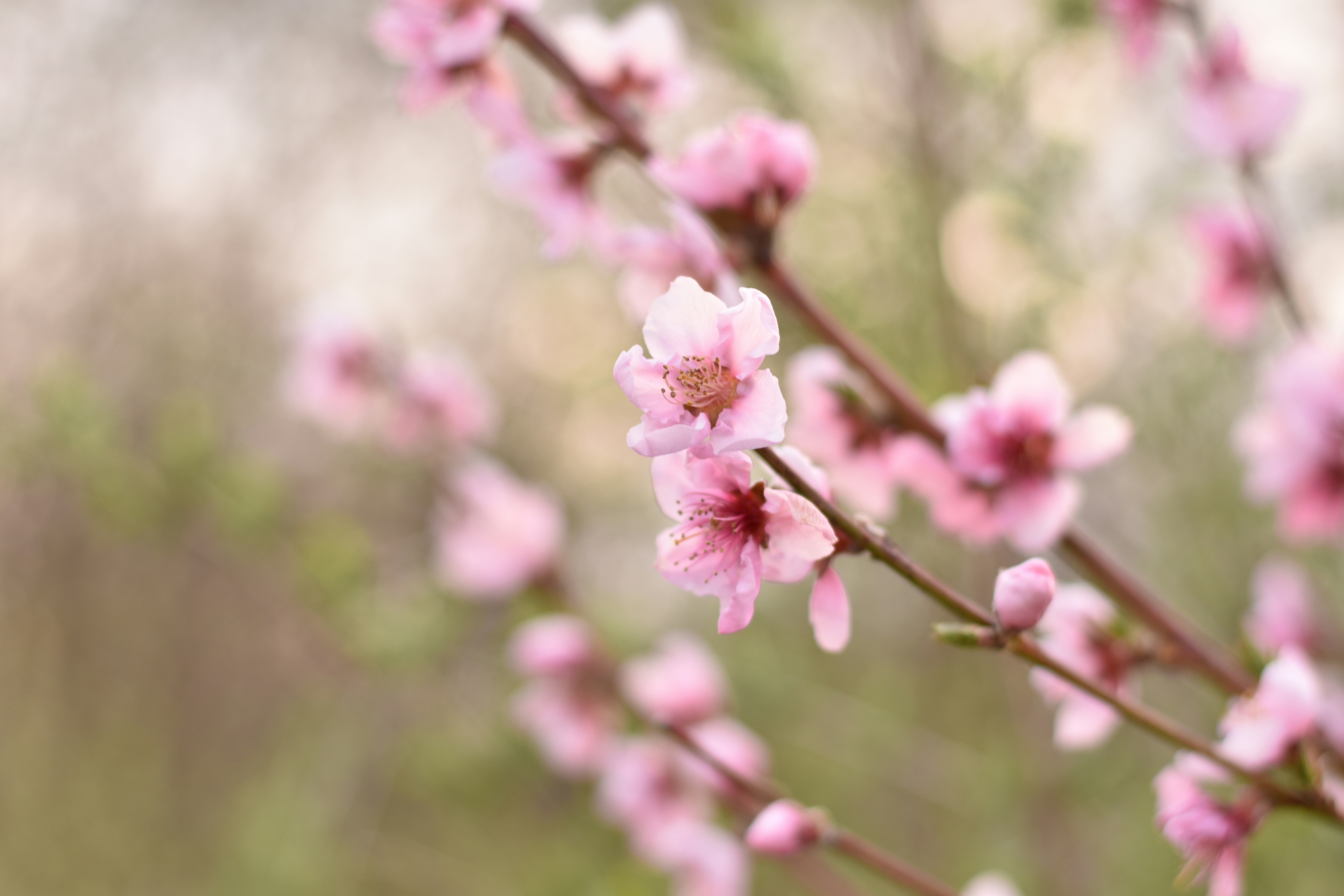 Photo by rosephotography00