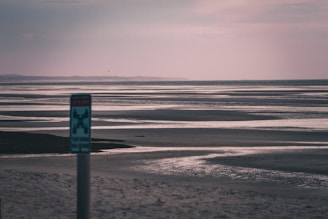 A serene beachside hotel with a pest control sign.
