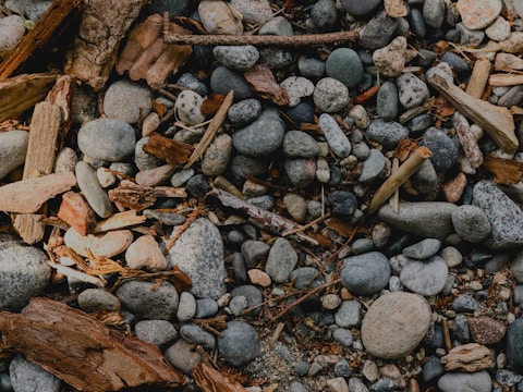 A variety of smooth pebbles and stones mixed with pieces of driftwood and twigs. The stones vary in size and color, ranging from gray to light beige, interspersed with weathered wood fragments, creating a natural, textured surface.