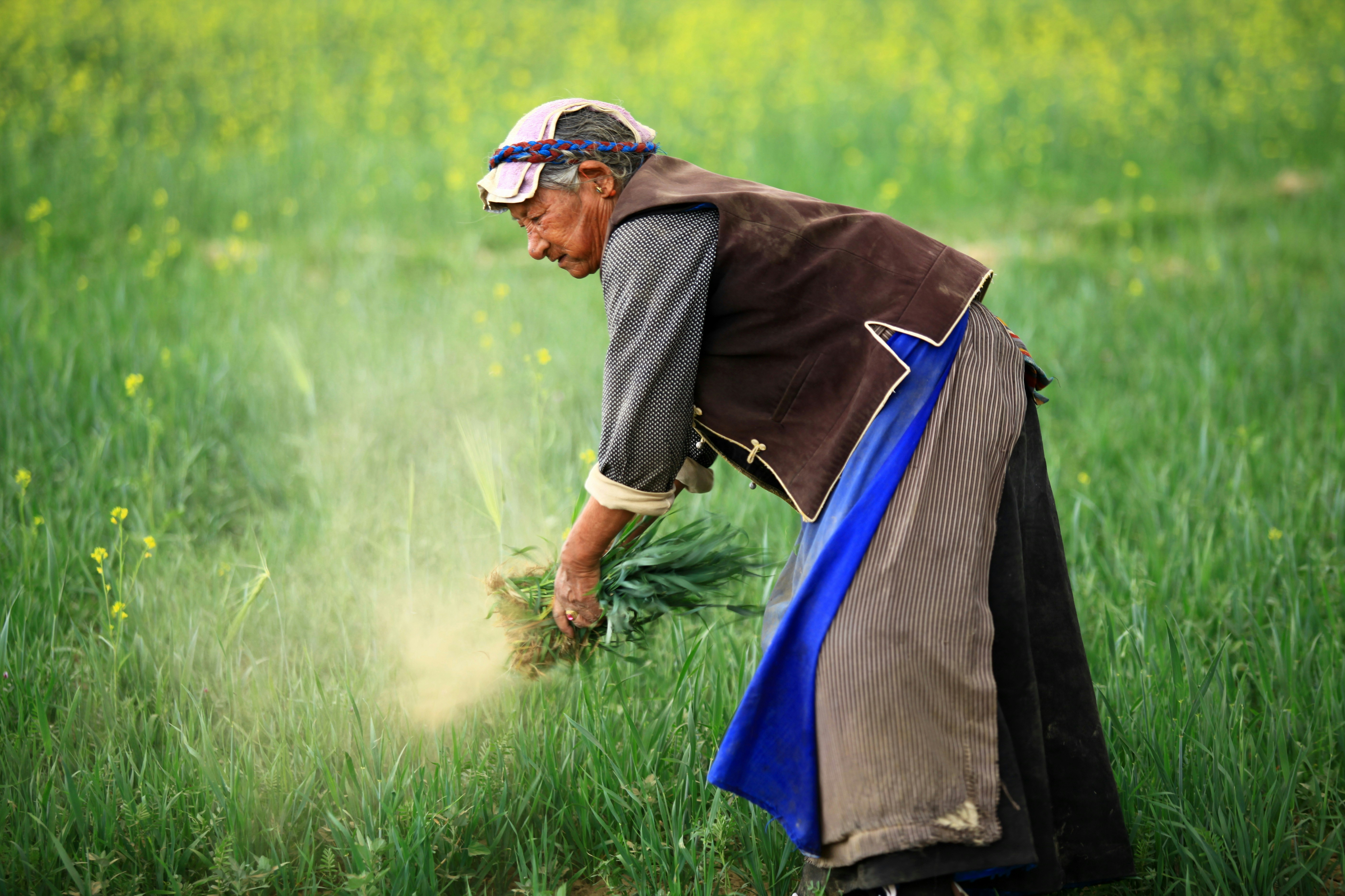 Un agriculteur épand de l'engrais sur ses cultures