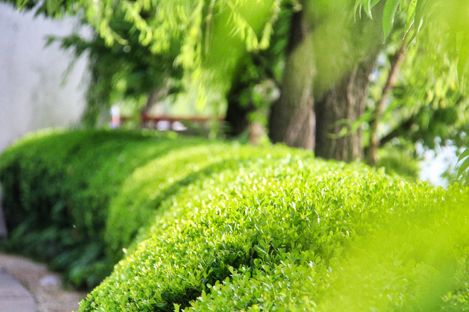 green grass field during daytime