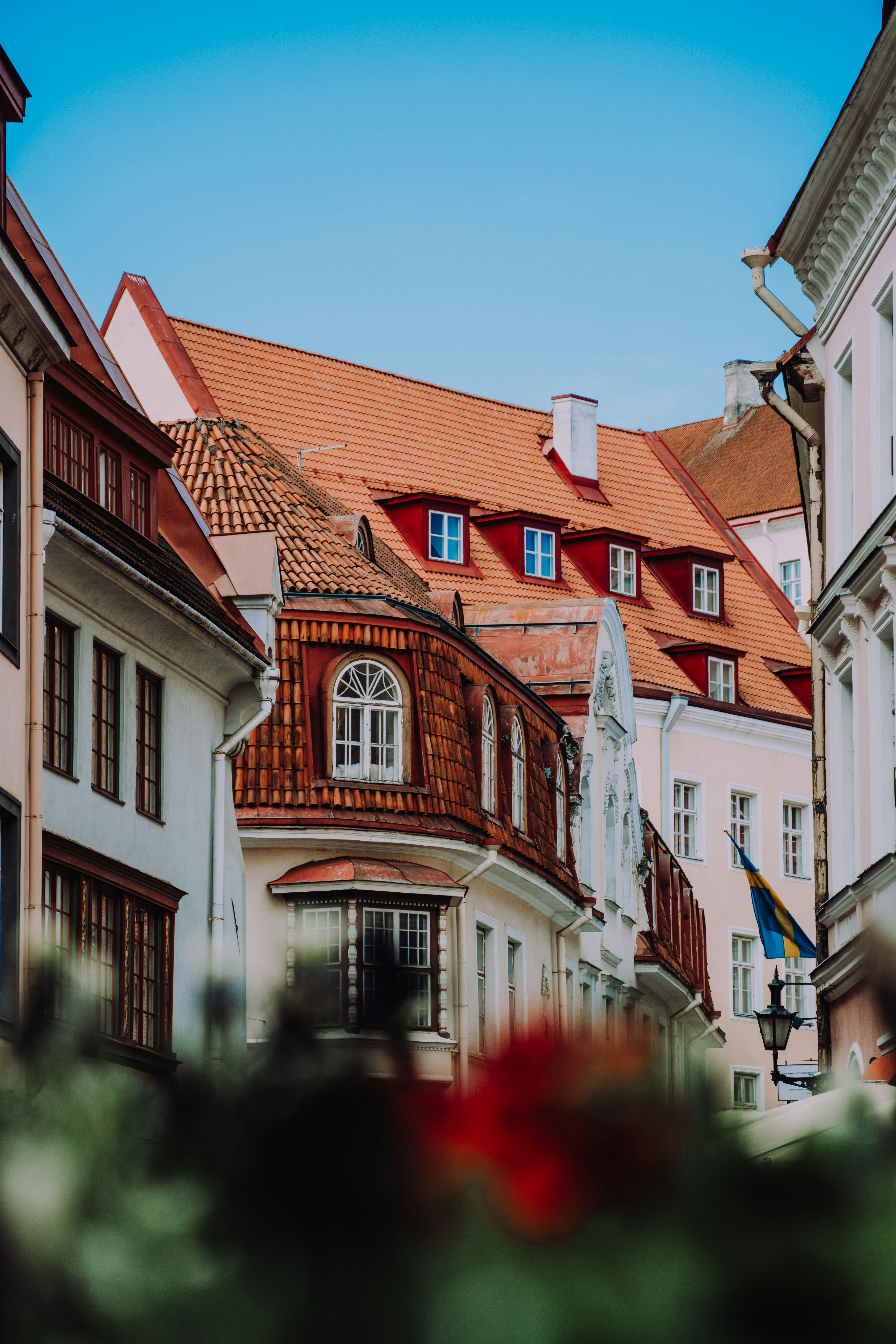 Scholarship #justnameIT