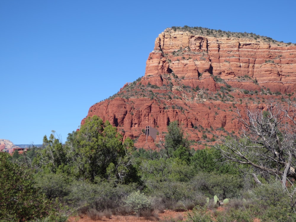 brown rock formation near green trees during daytime