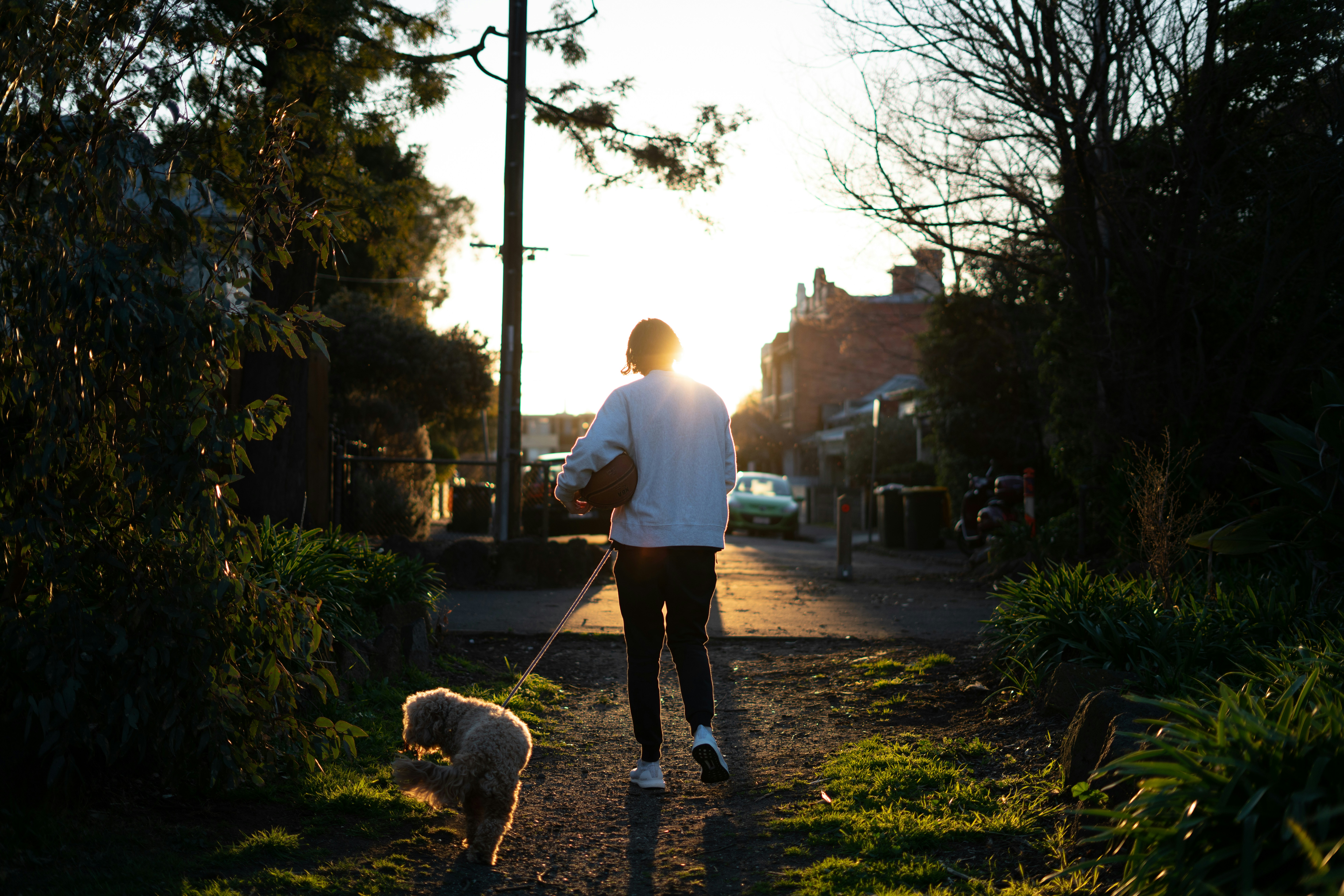 Photo by benblenner