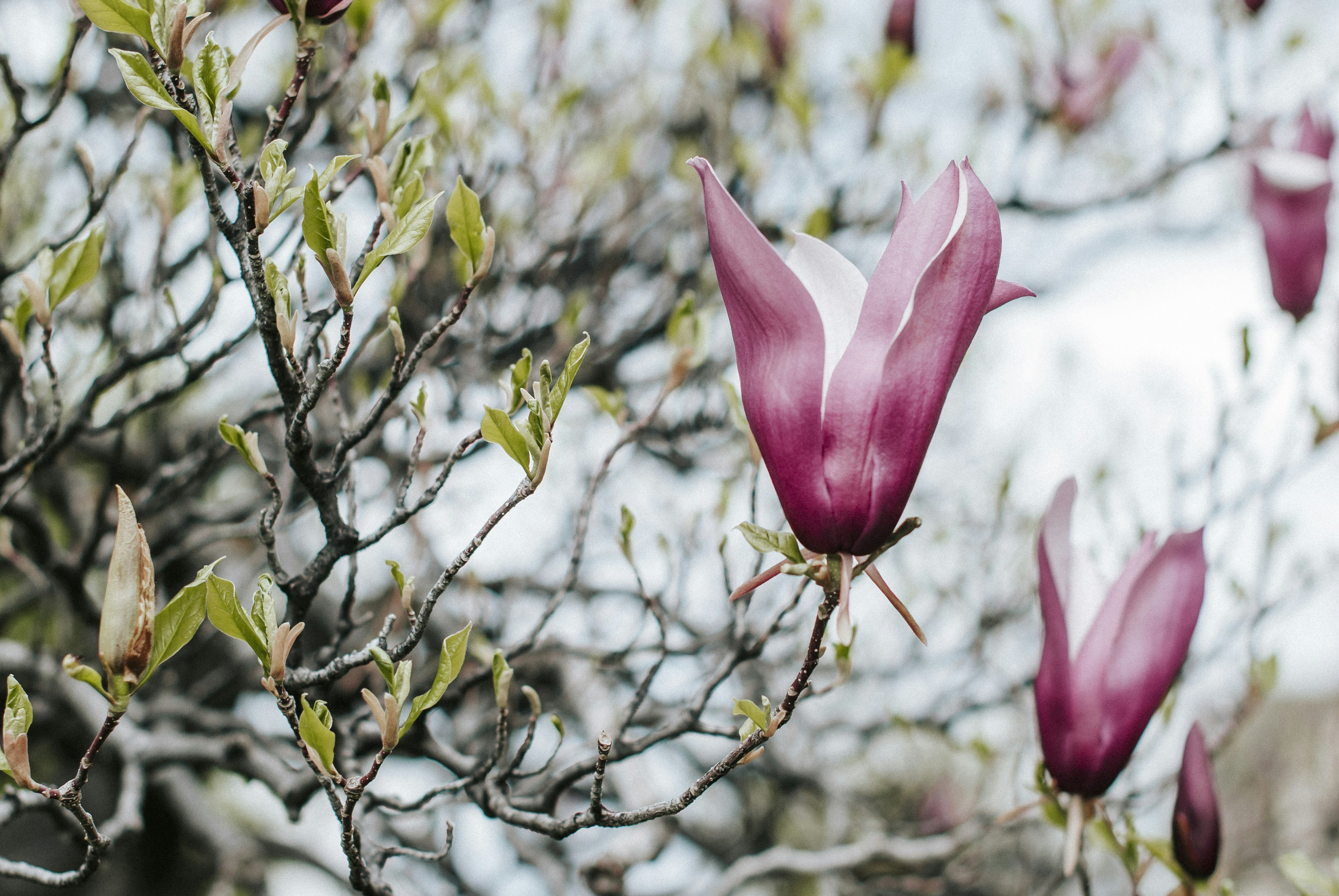 Photo by octoberroses