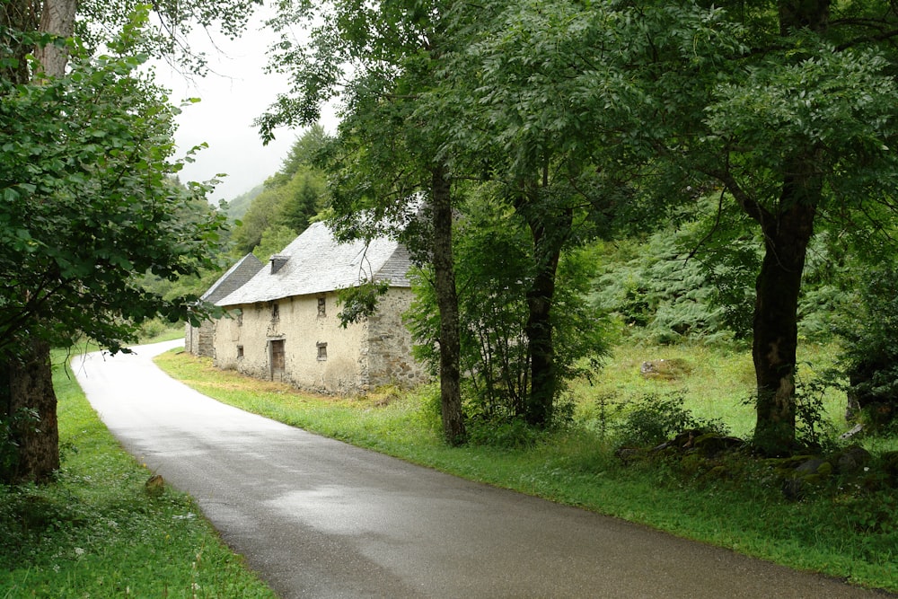 gray concrete road between green trees during daytime