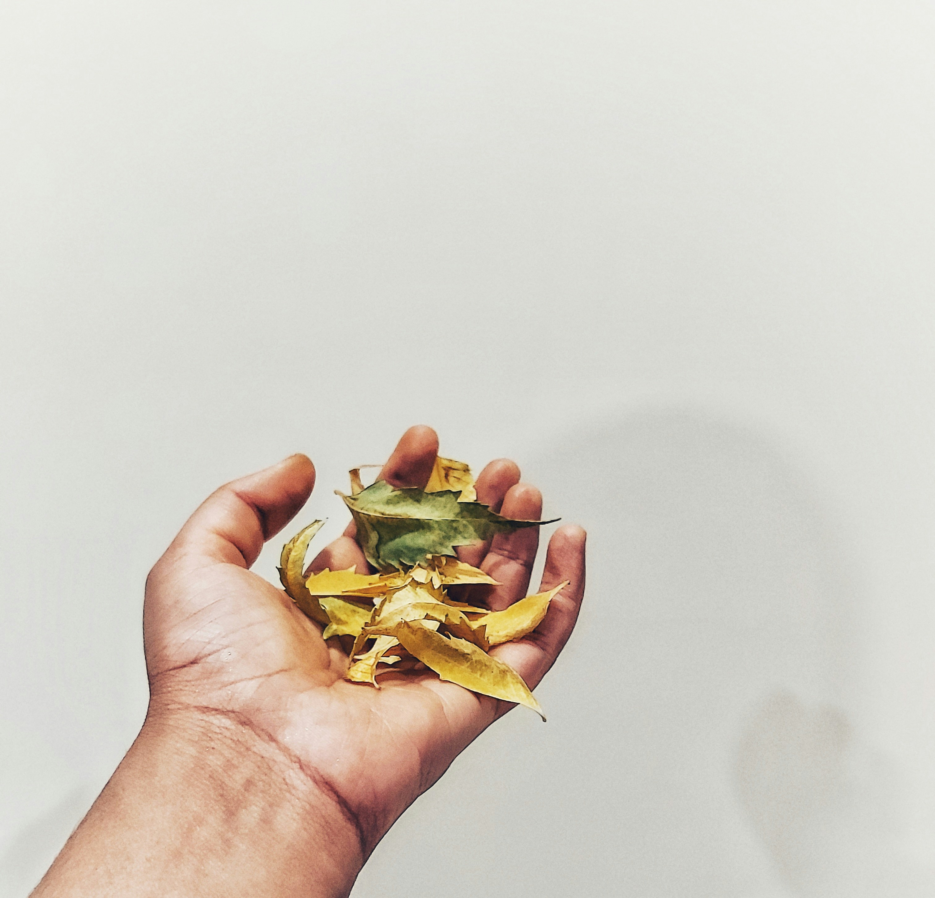 Photo by _tanyashrivastava