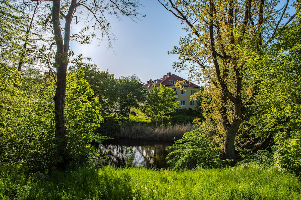 white and brown house near green trees and river during daytime