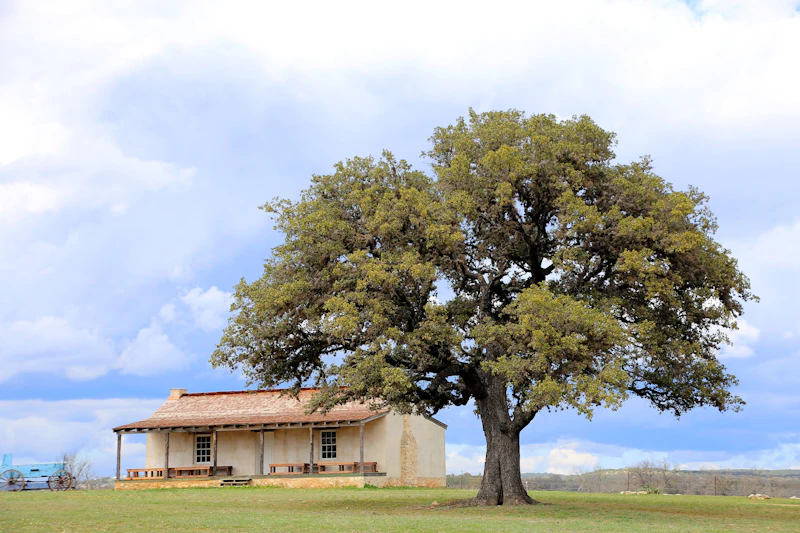 The Vineyard House