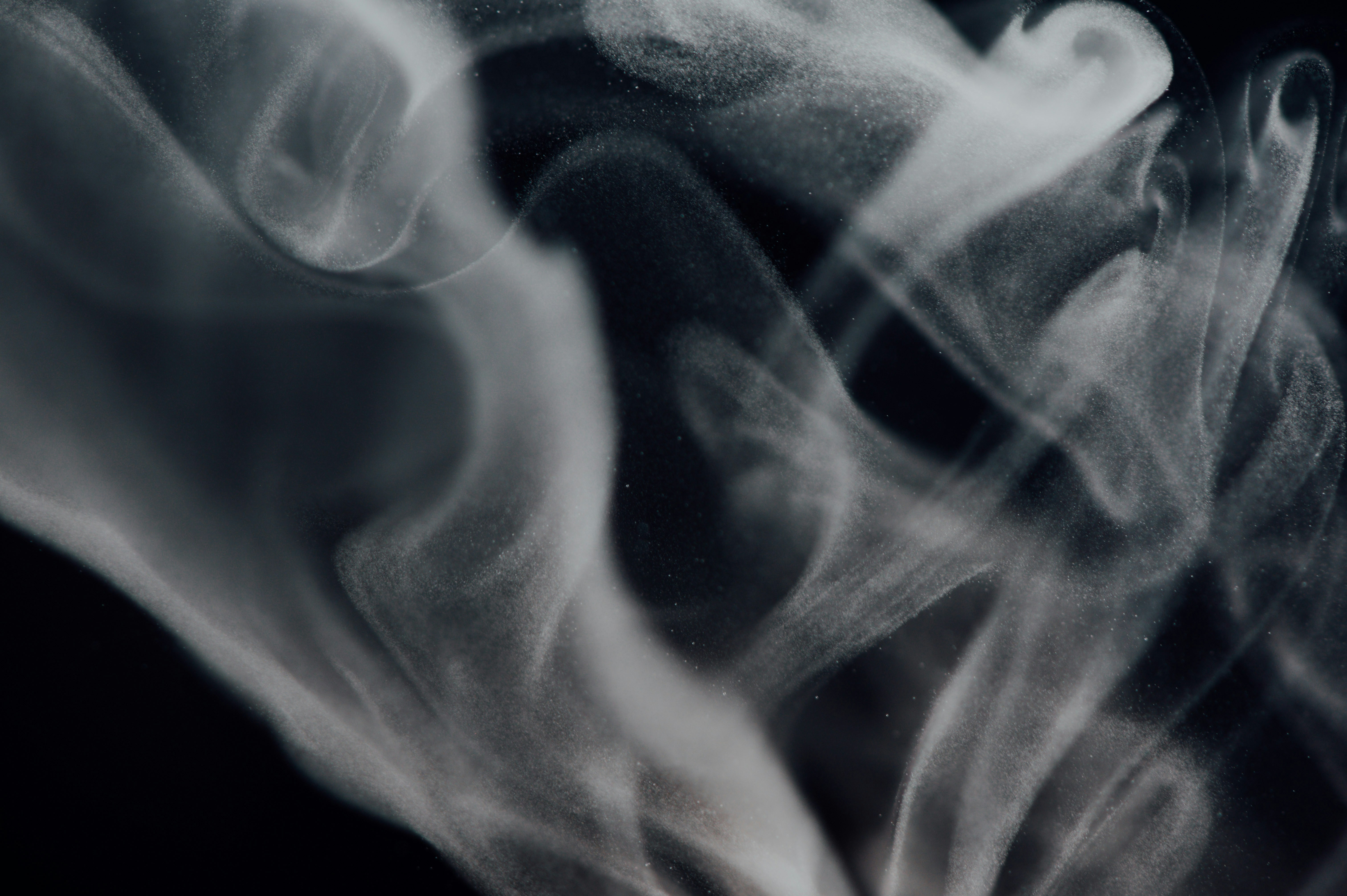 Photo by chuttersnap