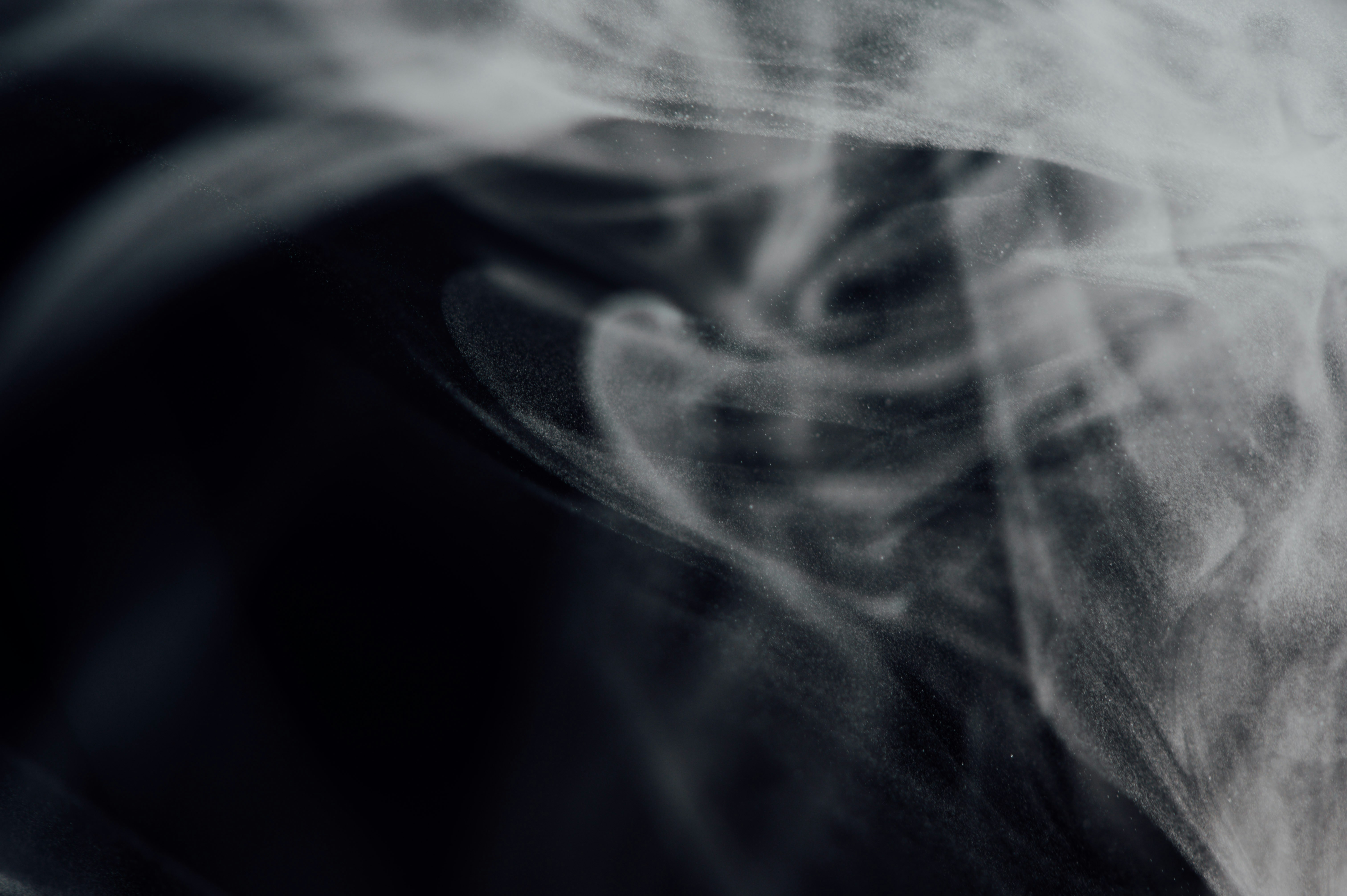 Photo by chuttersnap