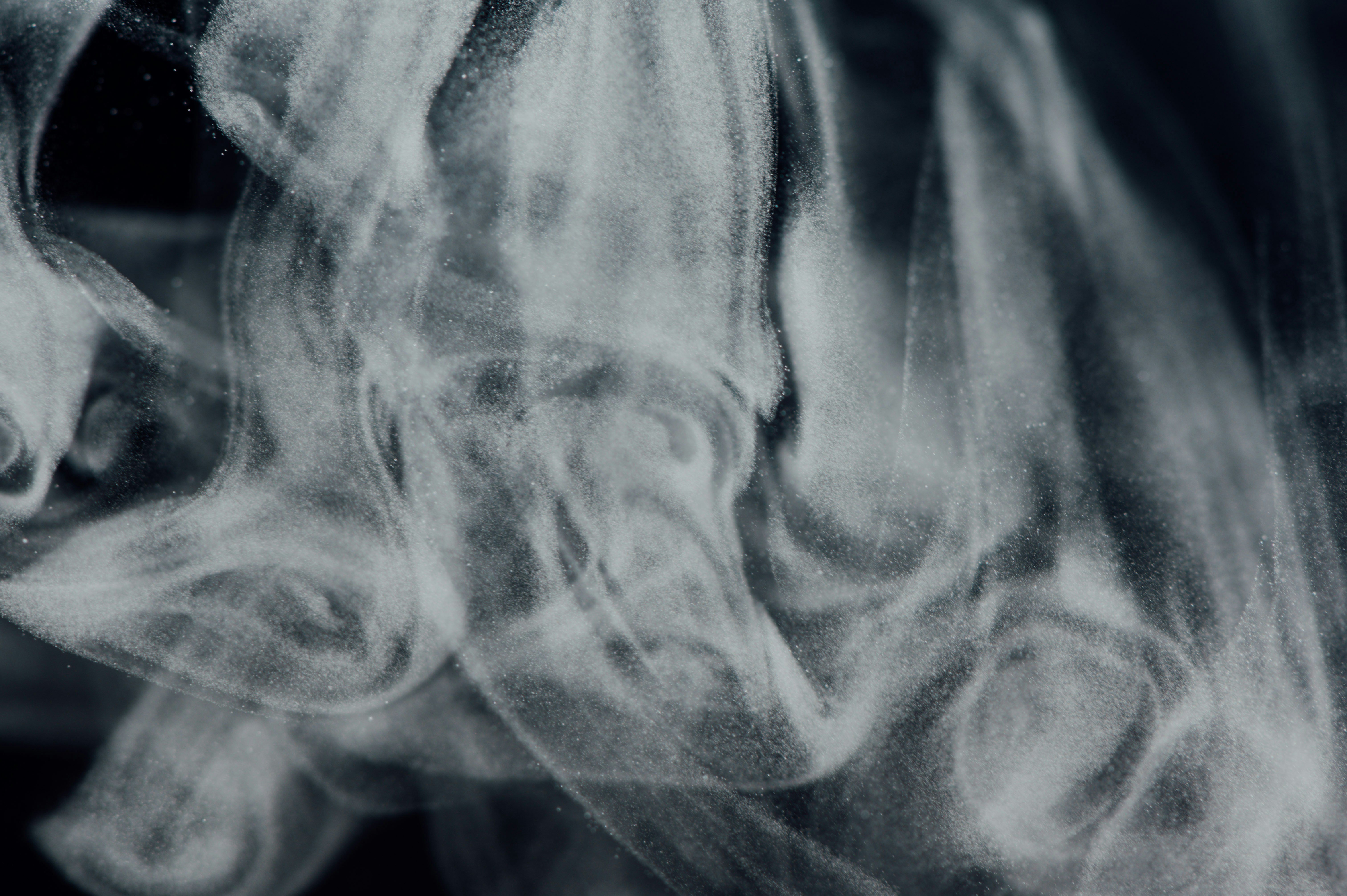 Photo by chuttersnap