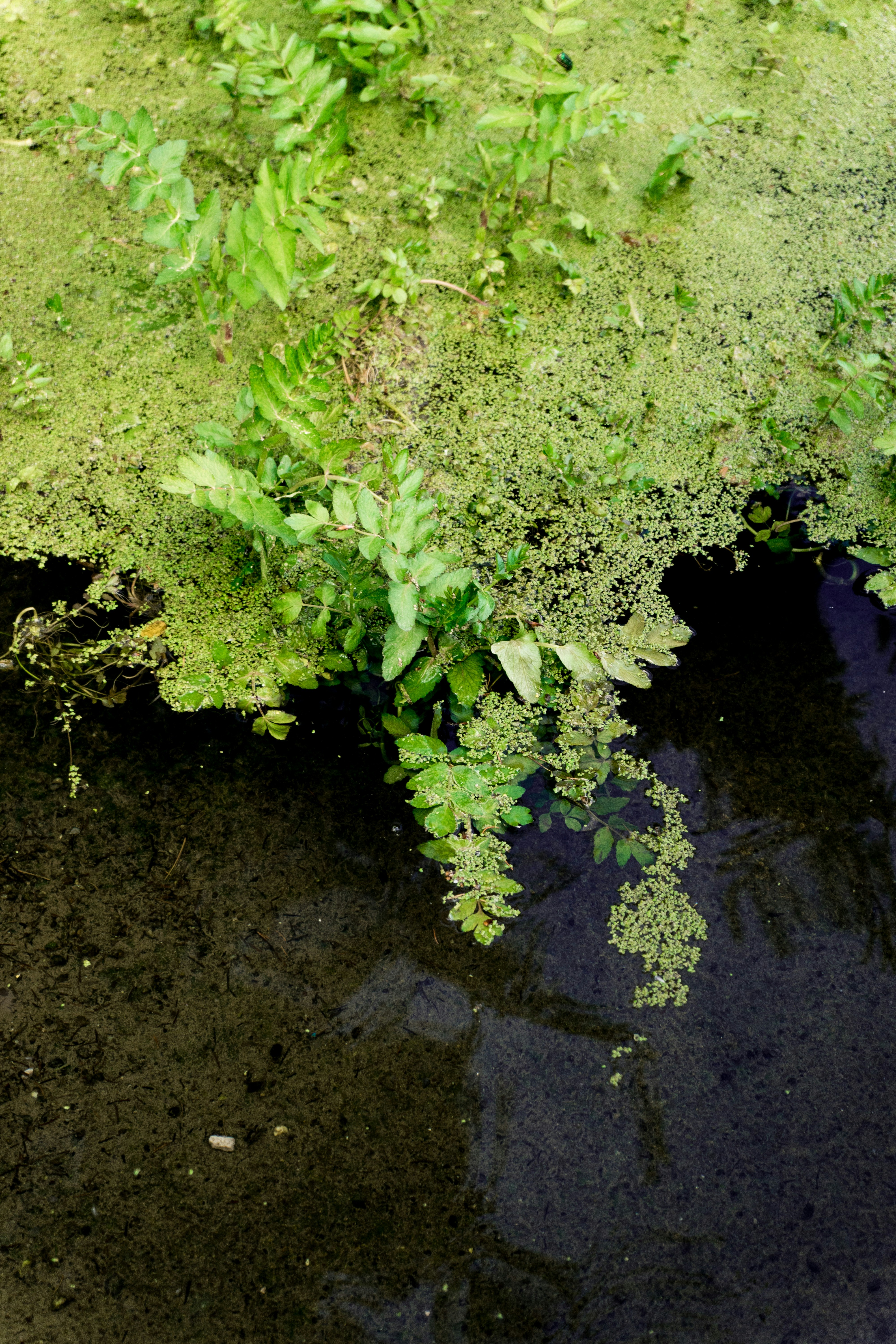 Photo by virussinside