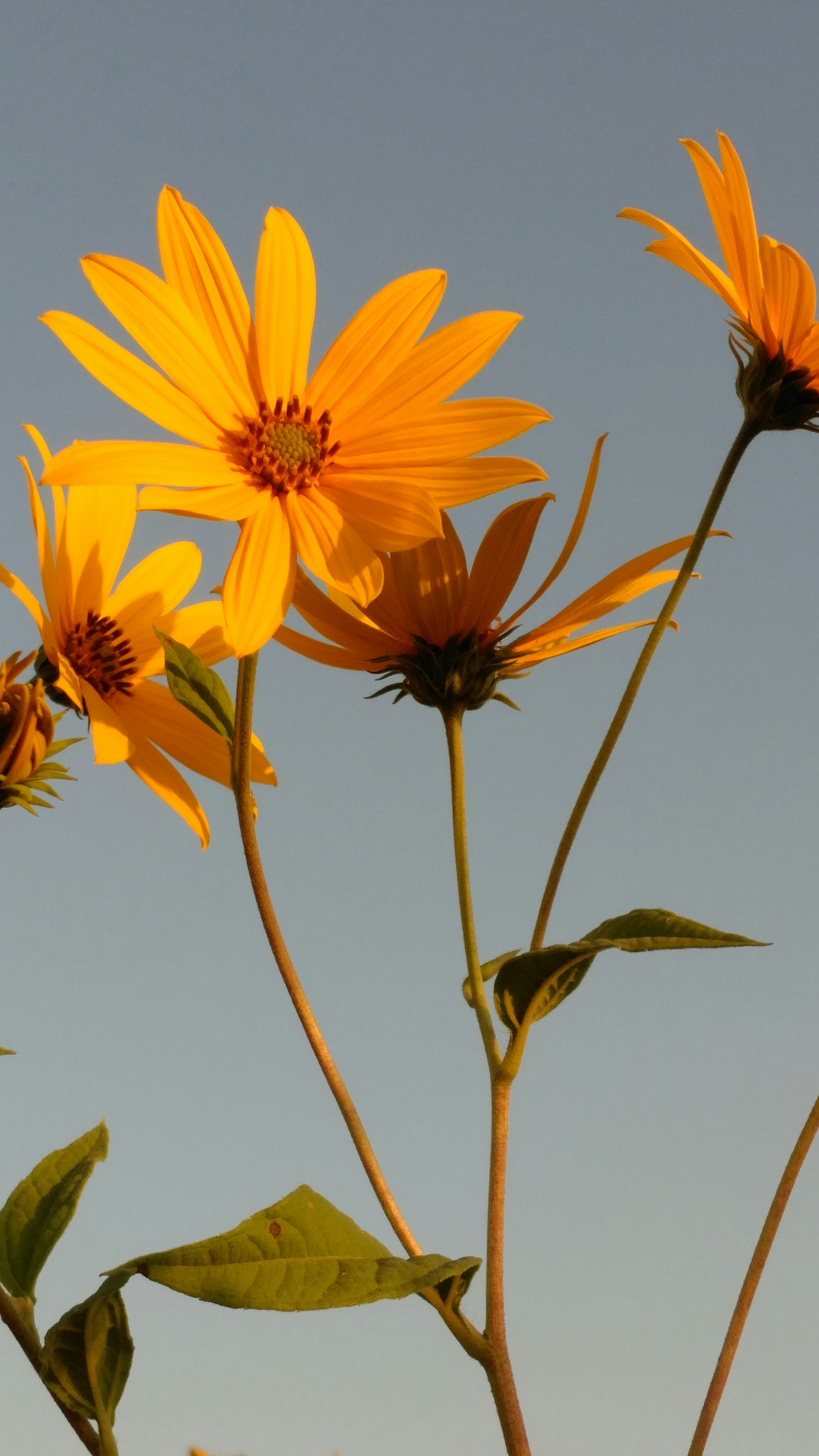 Photo by malkus782911