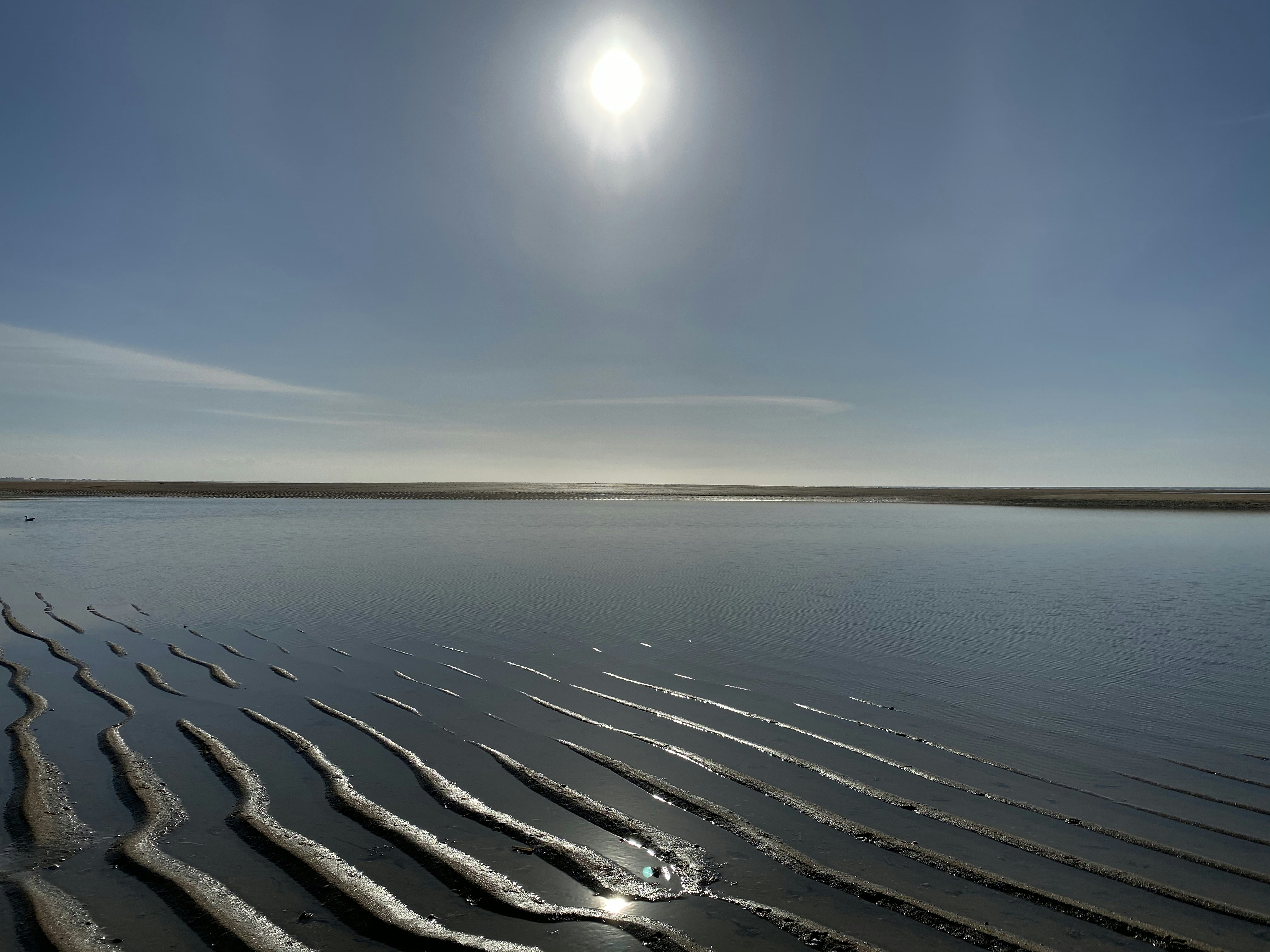 Photo by olgakulikova