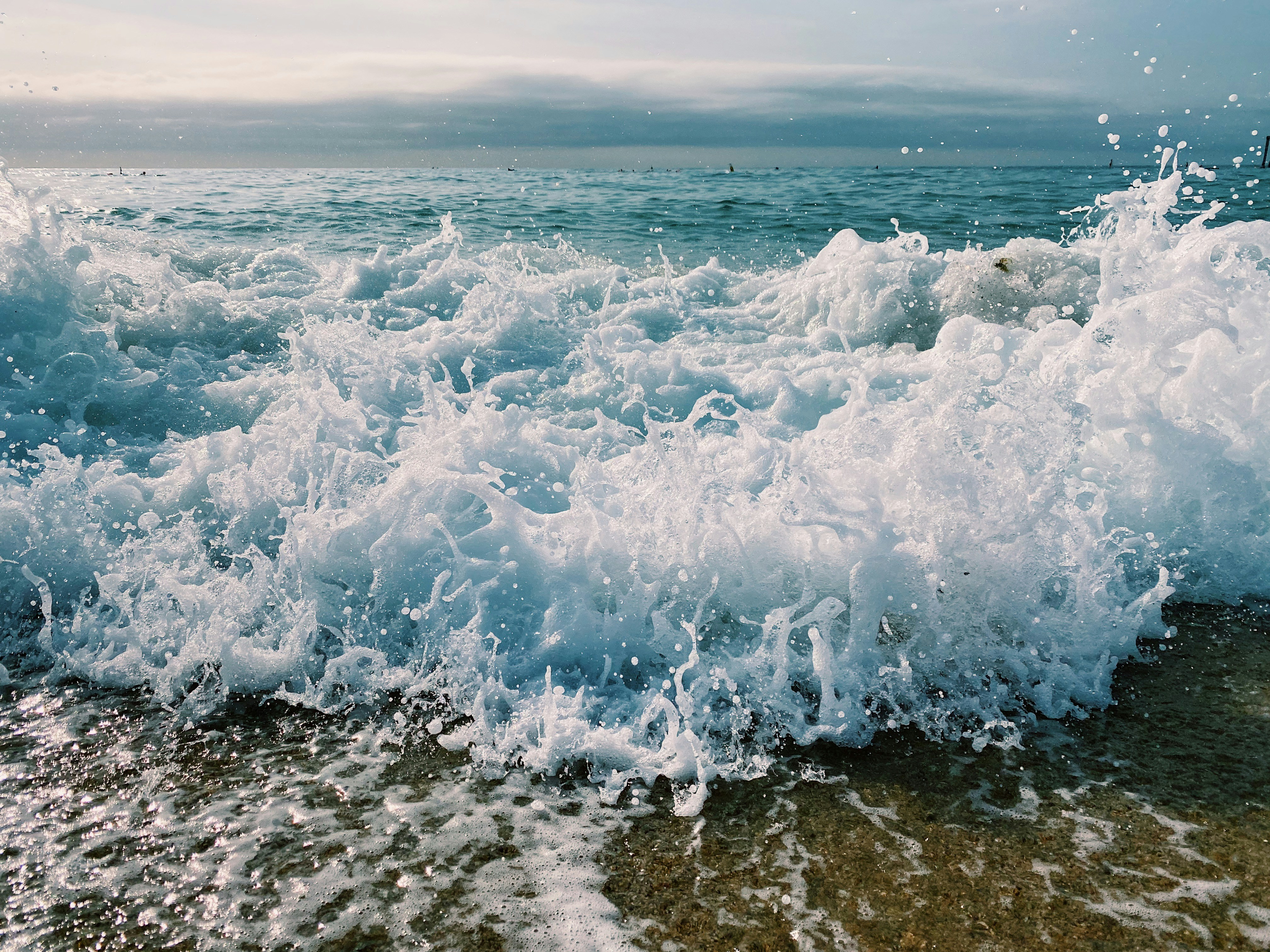 Photo by paulacrespos14