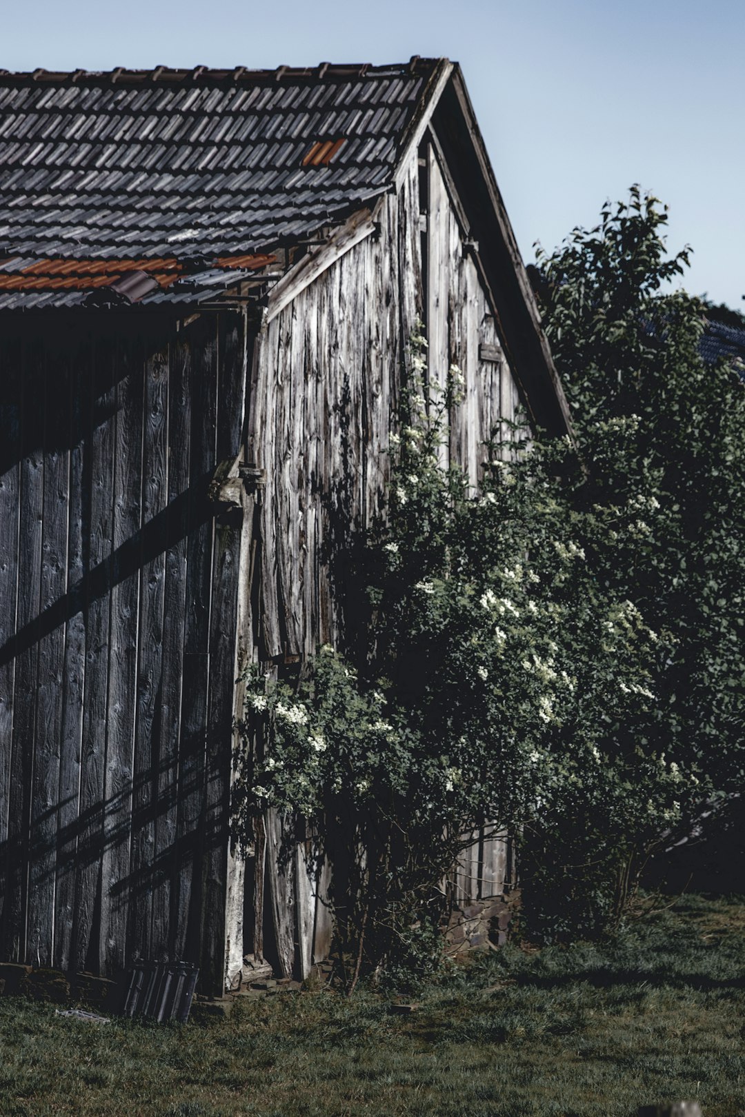 brown wooden house near green trees during daytime