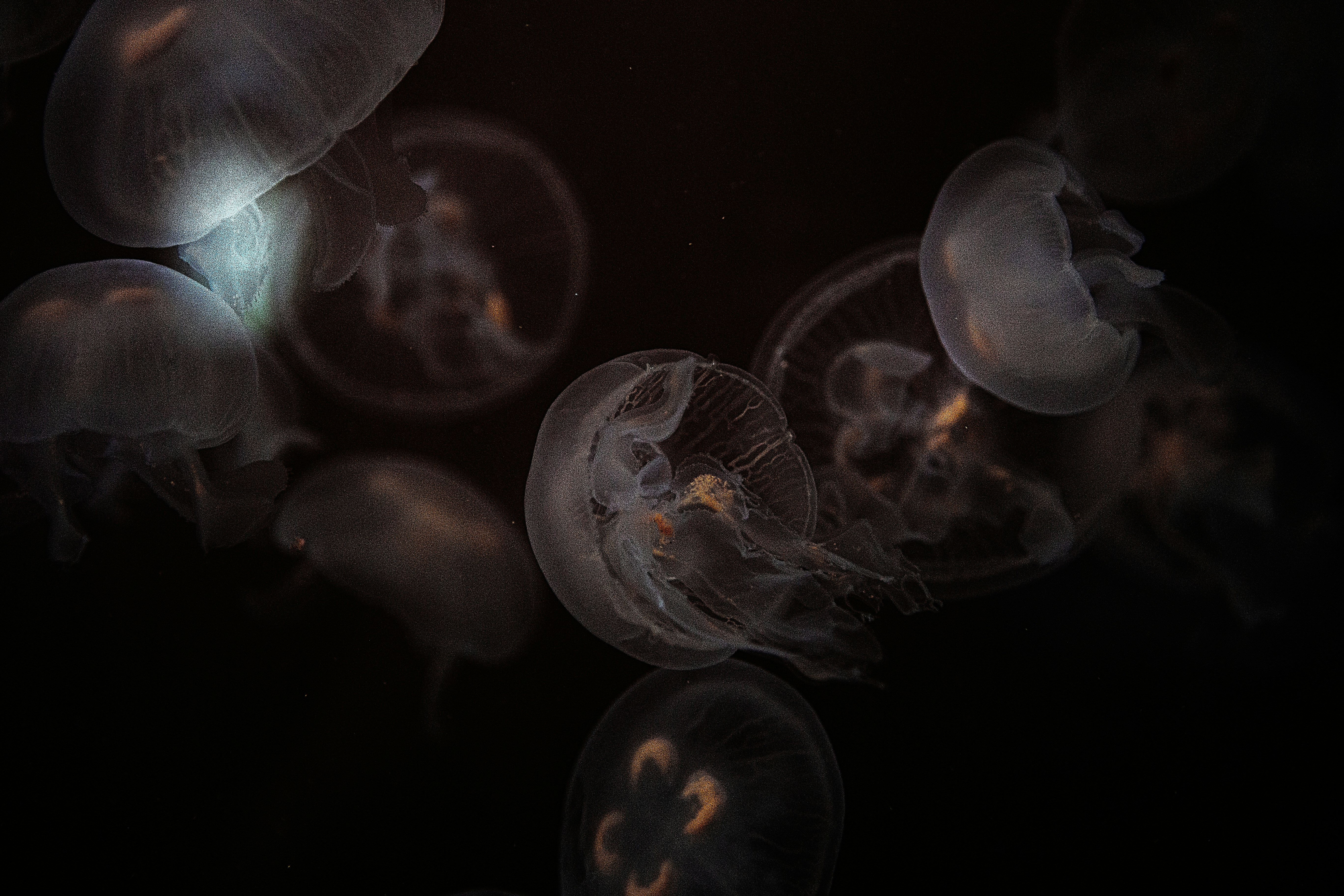 Photo by vinomamba24