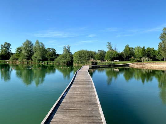 brown wooden dock on lake during daytime in Paisy-Cosdon France