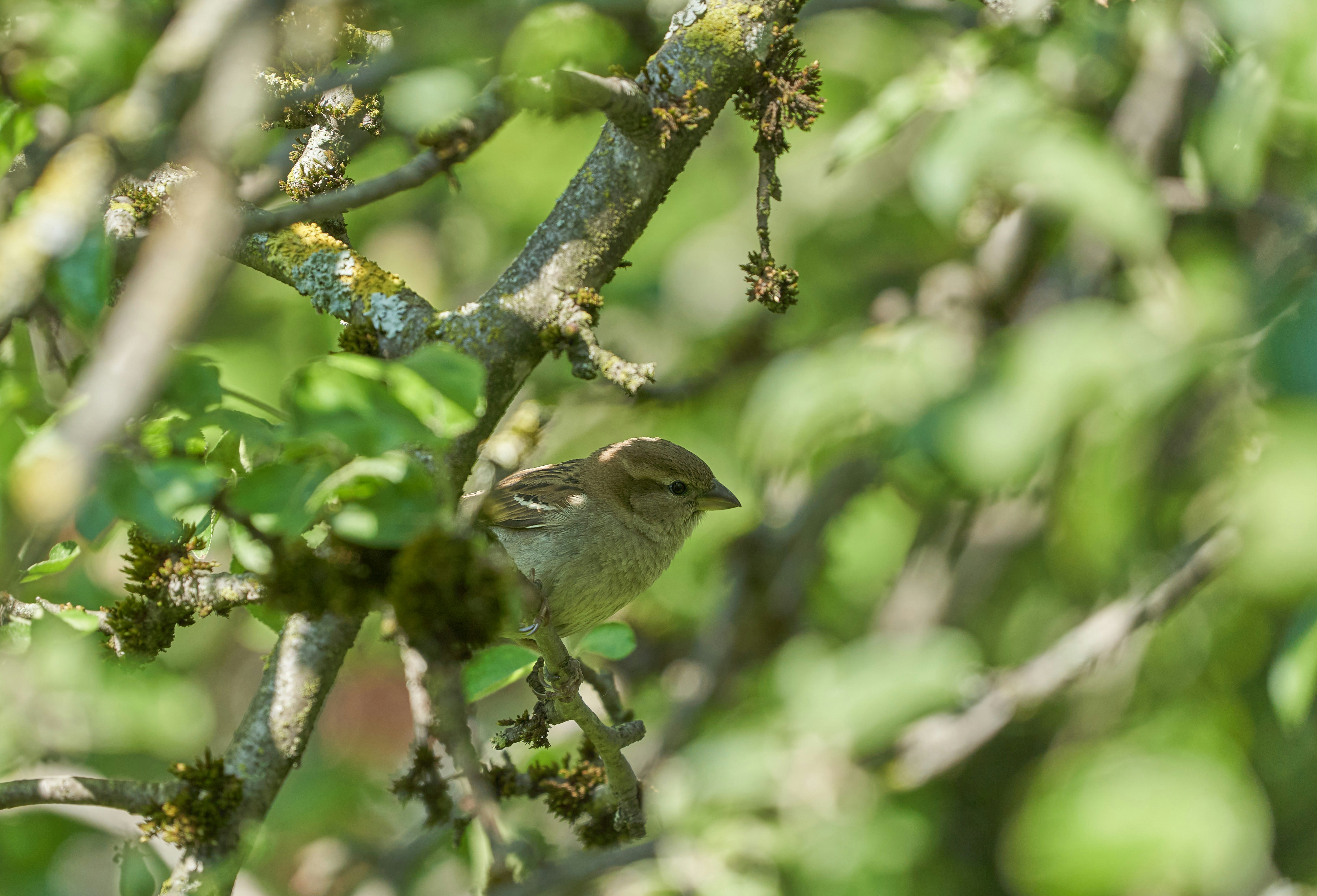 Photo by wolfgang_hasselmann