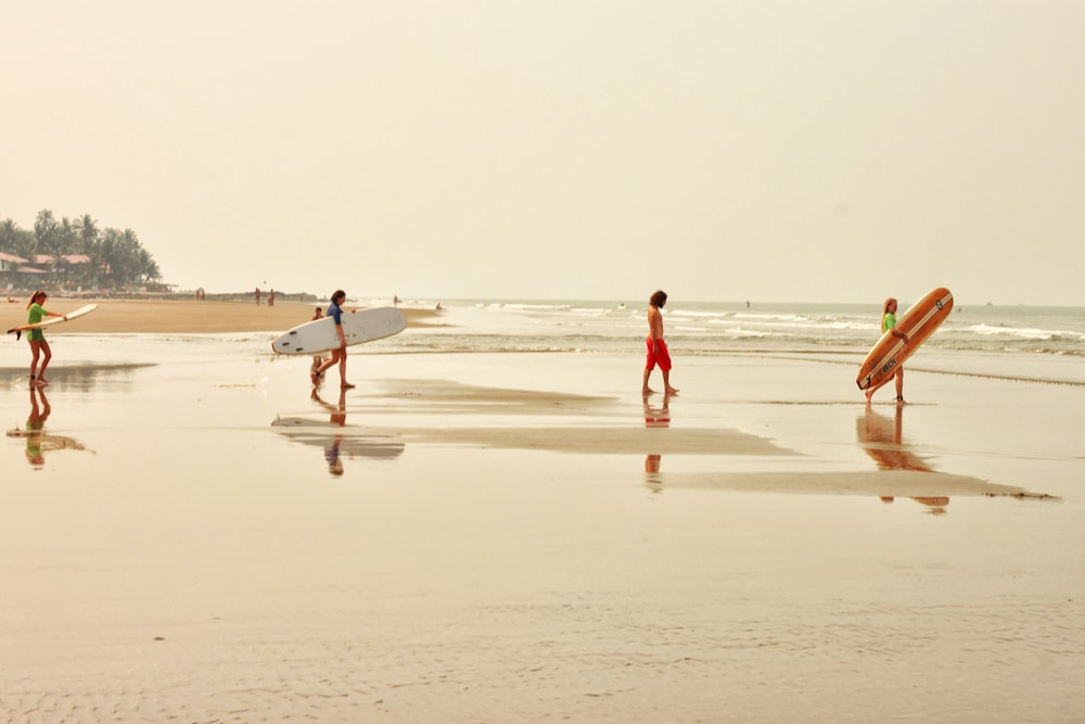 personnes marchant sur la plage pendant la journée