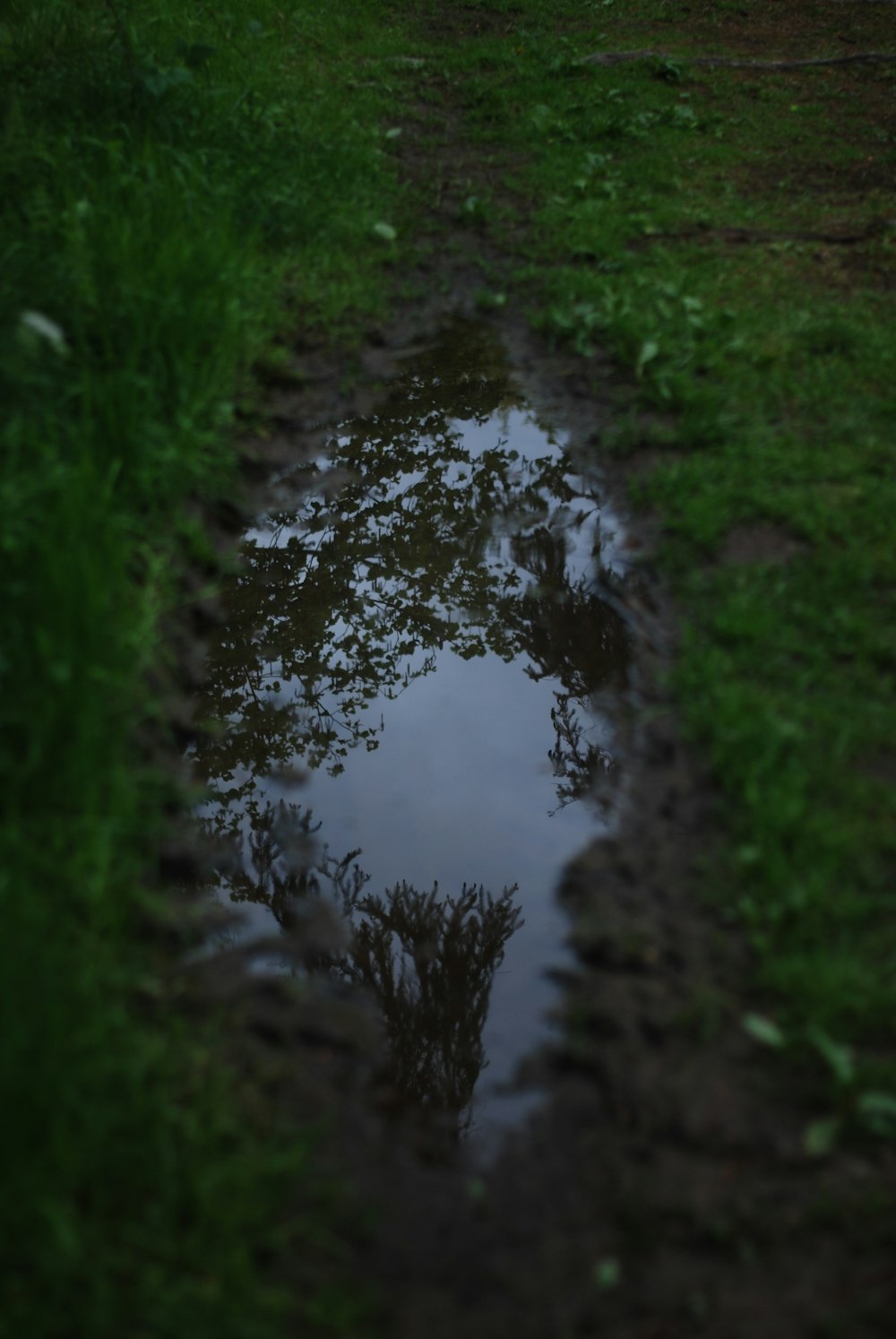 green grass field during daytime