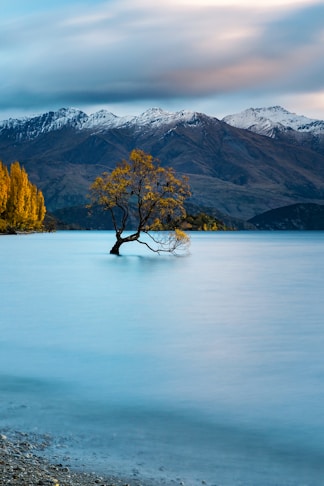 Neuseeland
