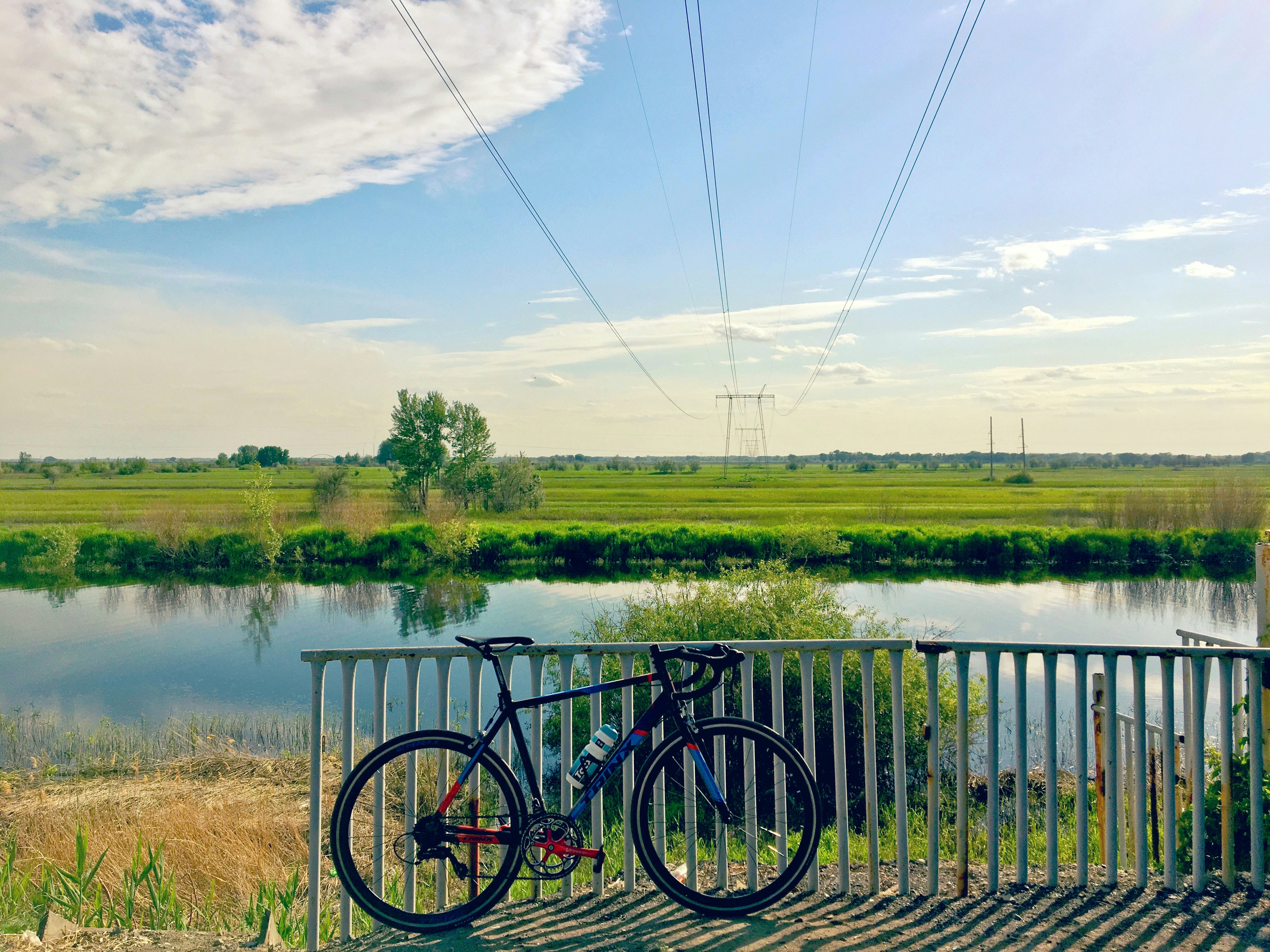 black bicycle leaning on black metal fence near green grass field during daytime