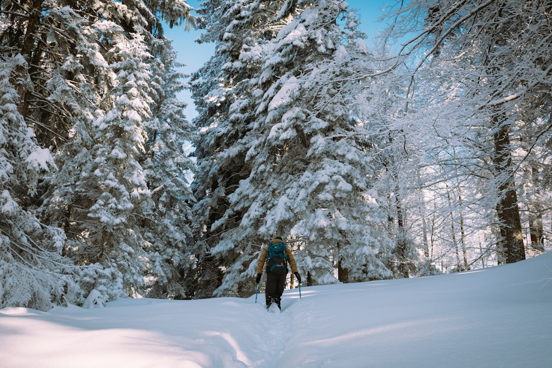person in black jacket and black pants walking on snow covered ground near trees during daytime
