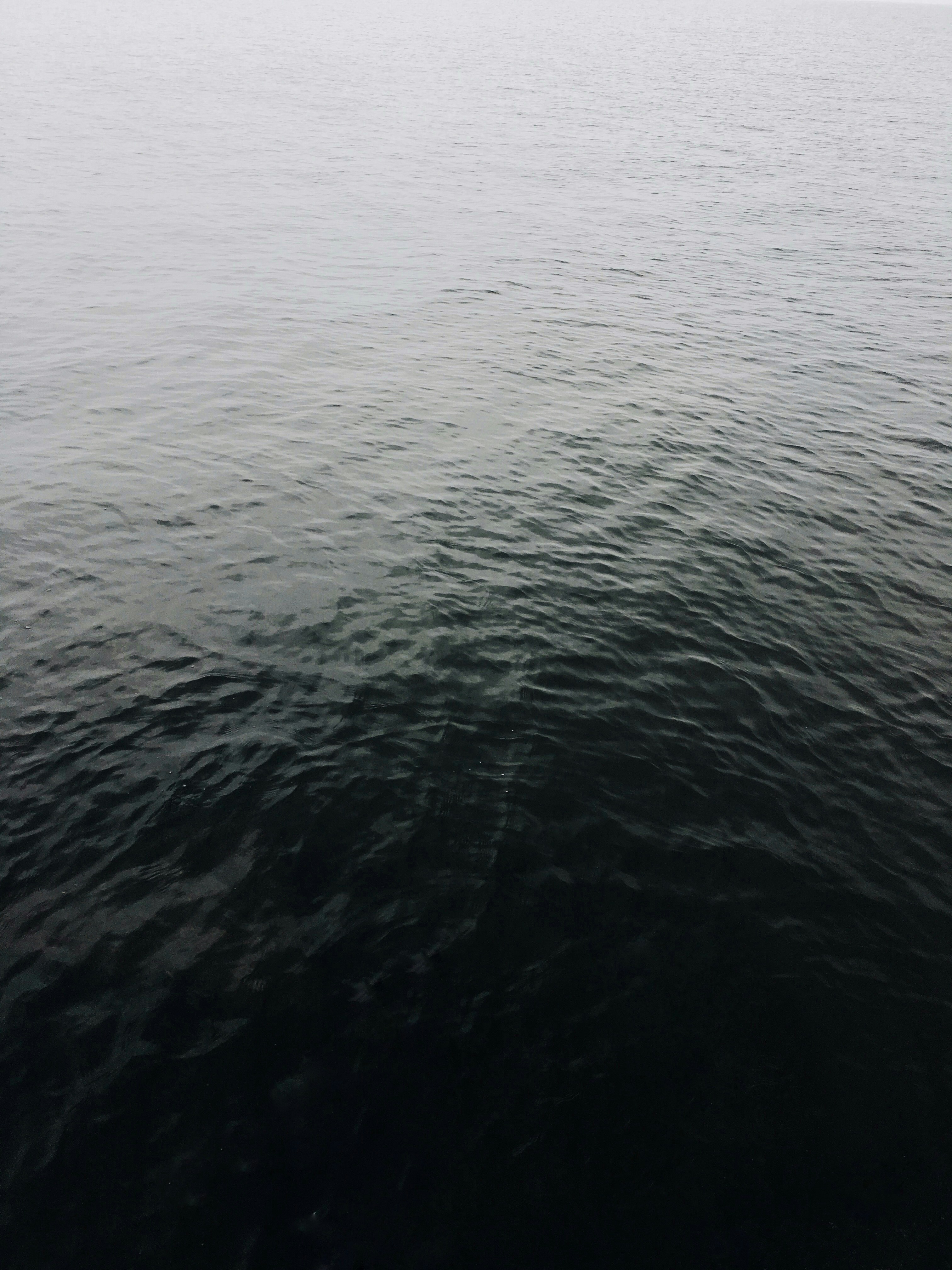 Photo by helenarause