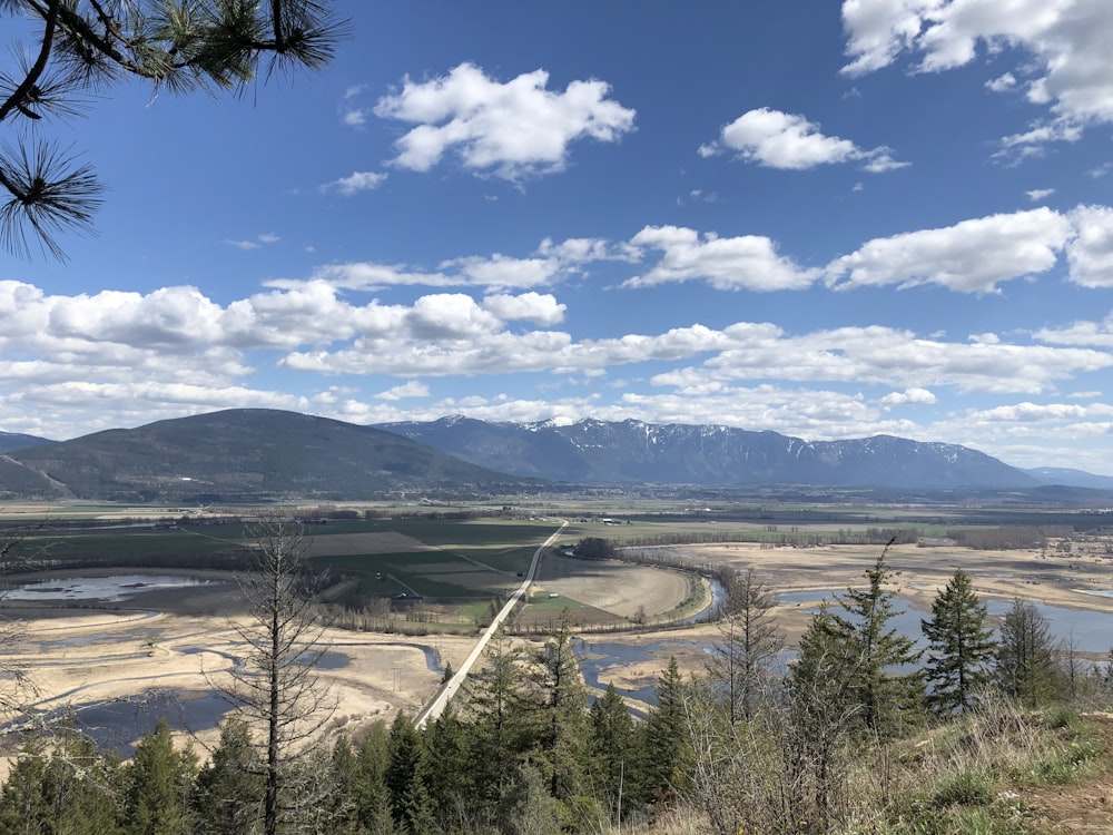 green trees near lake under blue sky during daytime