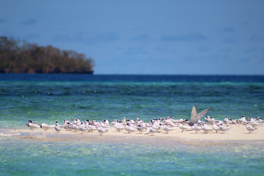 Beach photo spot Rio Tuba Palawan