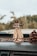 A dashboard with a small hula dancer figurine featuring a straw skirt and a ukulele. The background is a blurred outdoor view and a large pinecone is visible next to the figurine.