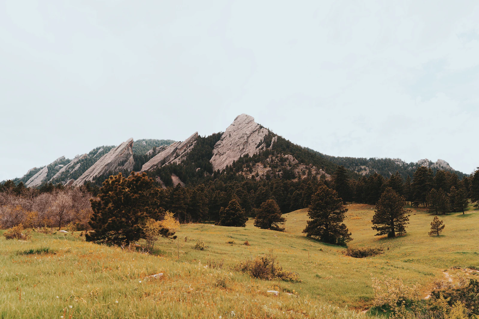 Green meadow rising toward the Flatirons and Flagstaff Mountain on the west edge of Boulder, Colorado