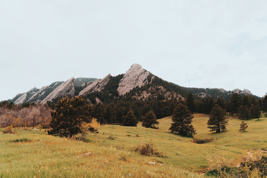 green grass field near mountain under white sky during daytime