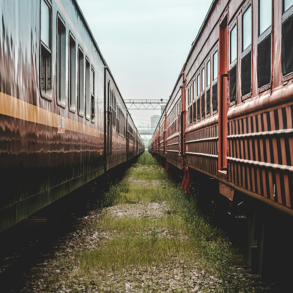 red and blue train under cloudy sky during daytime