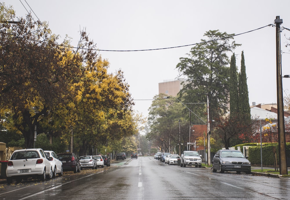 cars parked on parking lot near trees during daytime