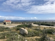 A small chapel with a red roof stands in a desert landscape with numerous cacti and shrubs, overlooking the ocean. The sky is partly cloudy, and the horizon is visible in the distance.