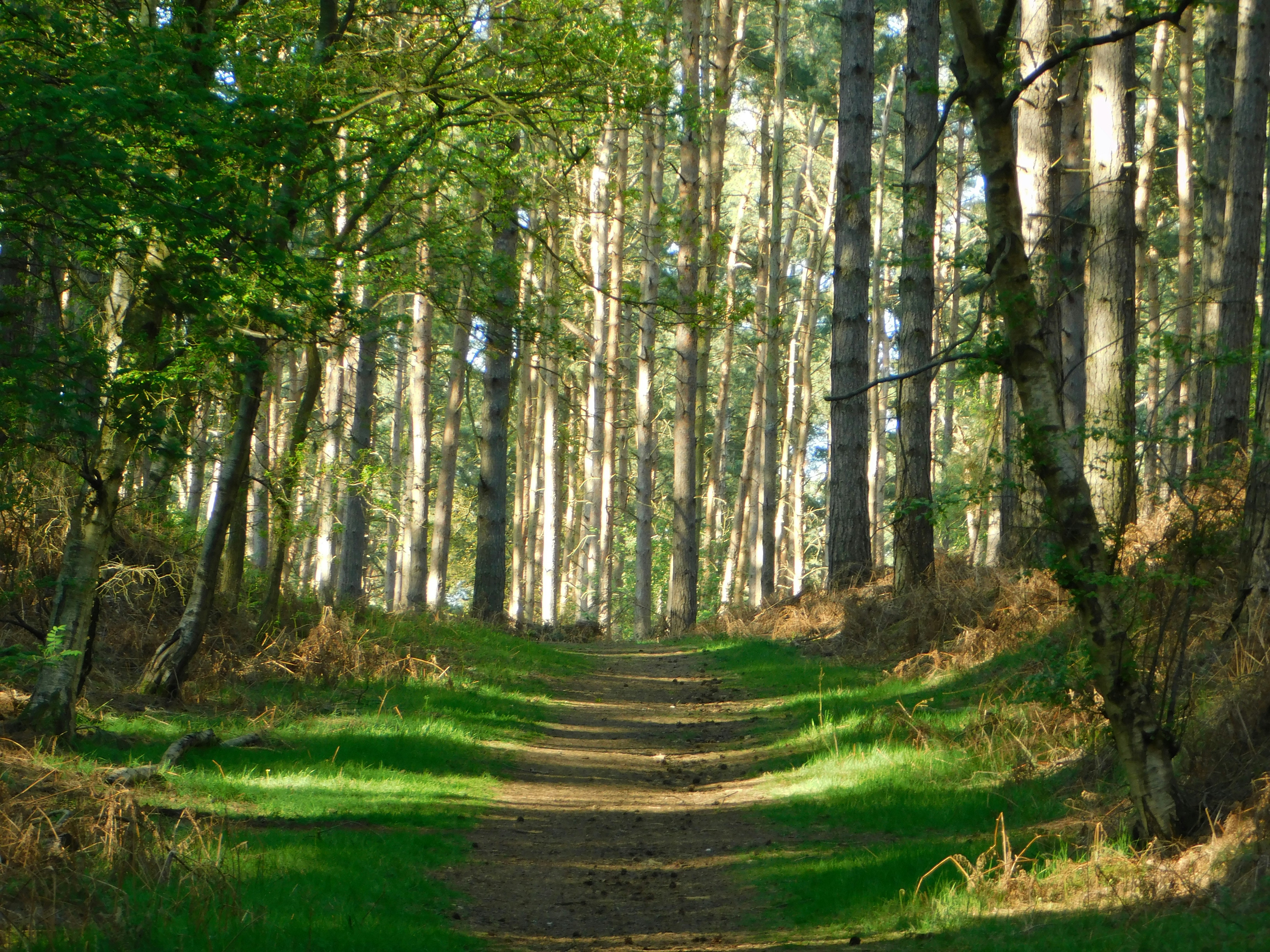 Photo by samanthasam05