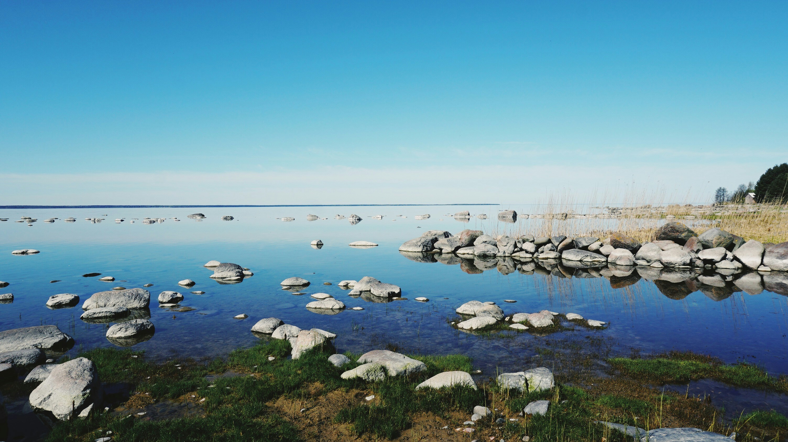 Photo by matheusfrade