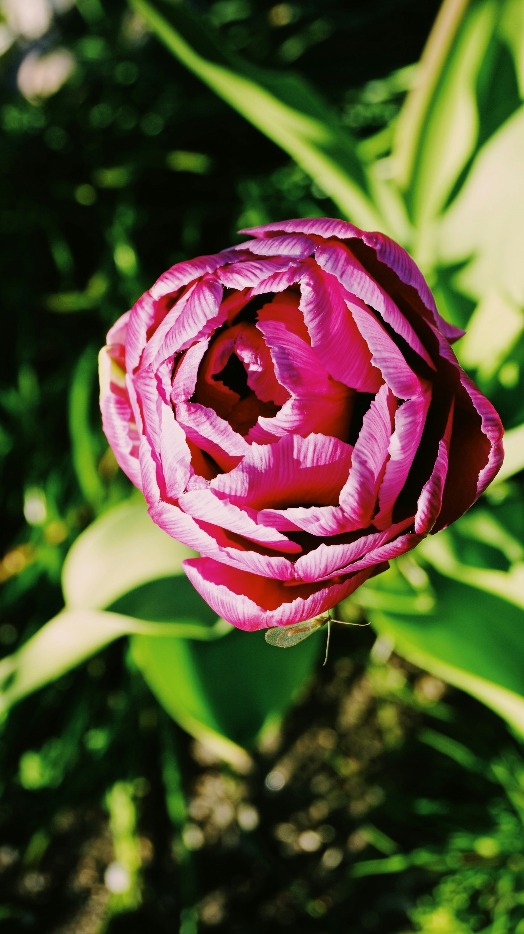 Photo by matheusfrade