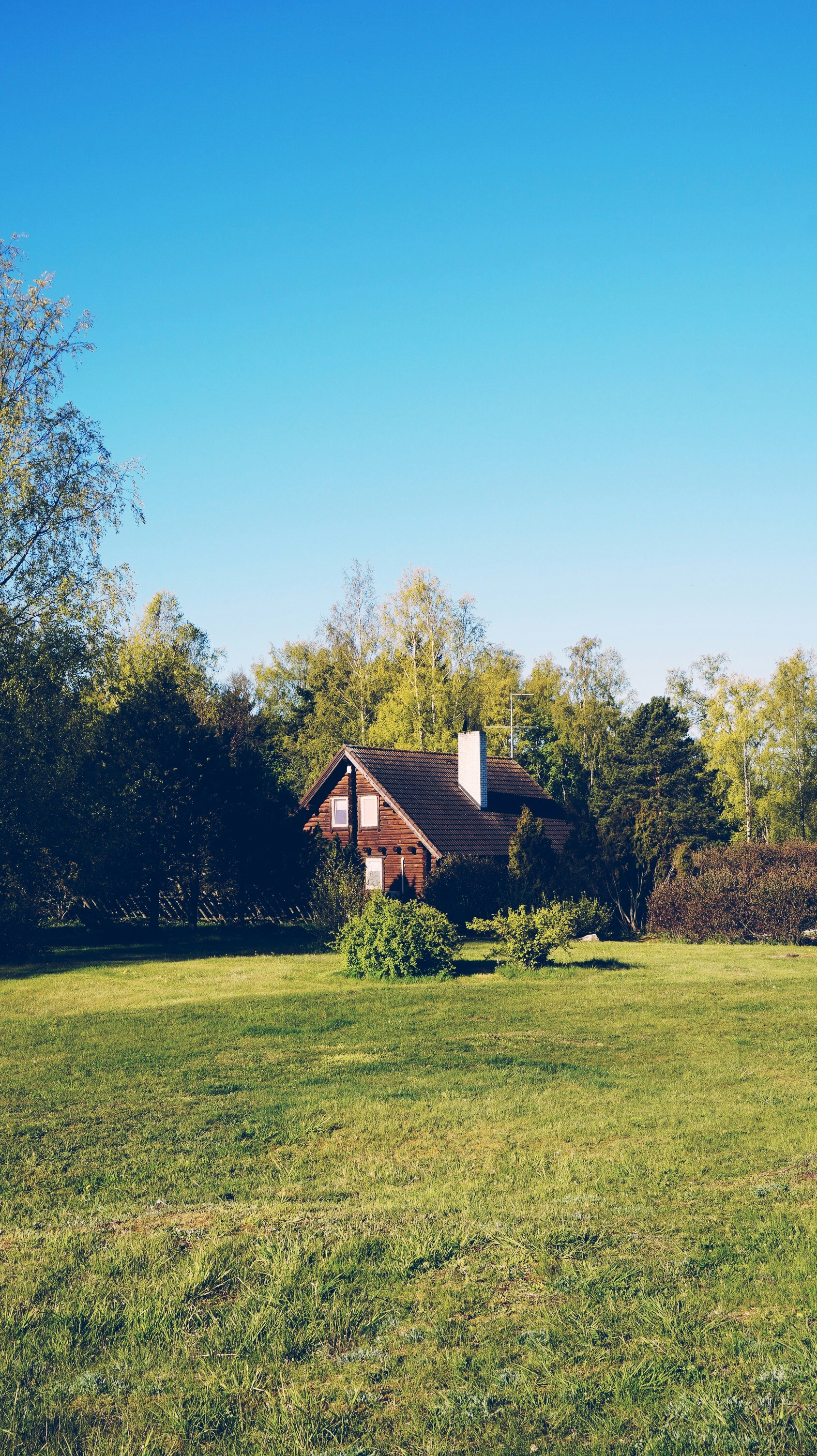 Photo by matheusfrade