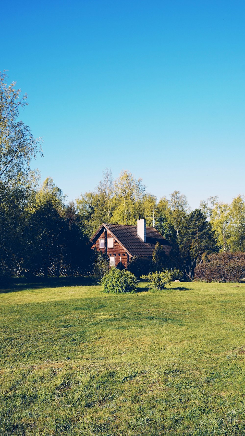 Braunes Holzhaus auf grünem Grasfeld in der Nähe von grünen Bäumen unter blauem Himmel tagsüber