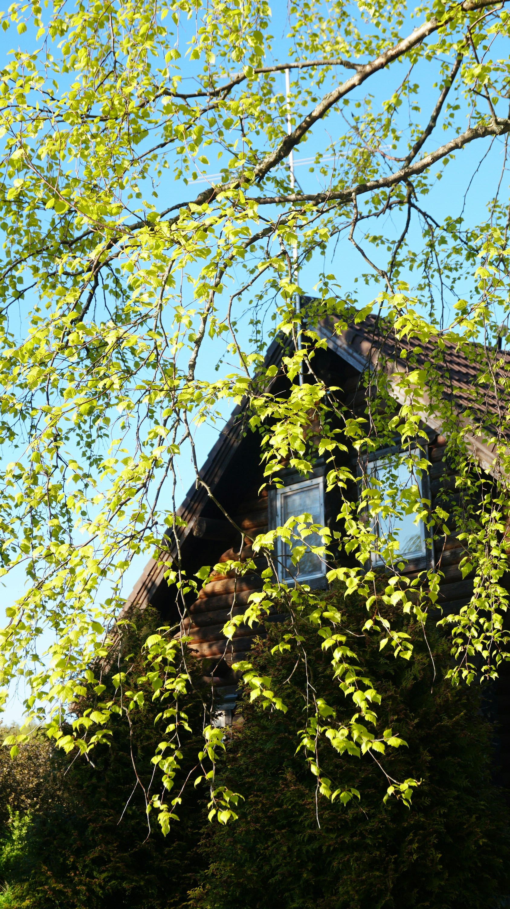 Photo by matheusfrade